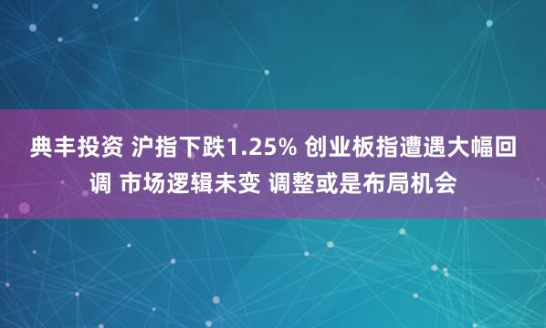 典丰投资 沪指下跌1.25% 创业板指遭遇大幅回调 市场逻辑未变 调整或是布局机会
