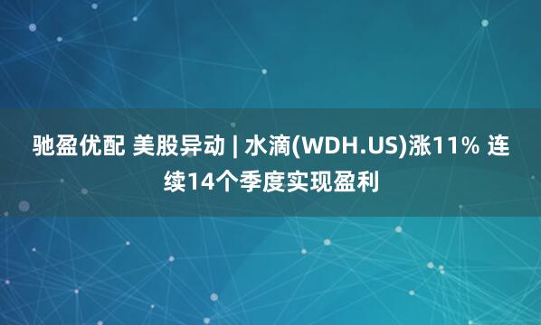 驰盈优配 美股异动 | 水滴(WDH.US)涨11% 连续14个季度实现盈利