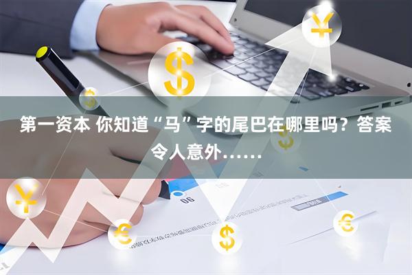 第一资本 你知道“马”字的尾巴在哪里吗？答案令人意外……