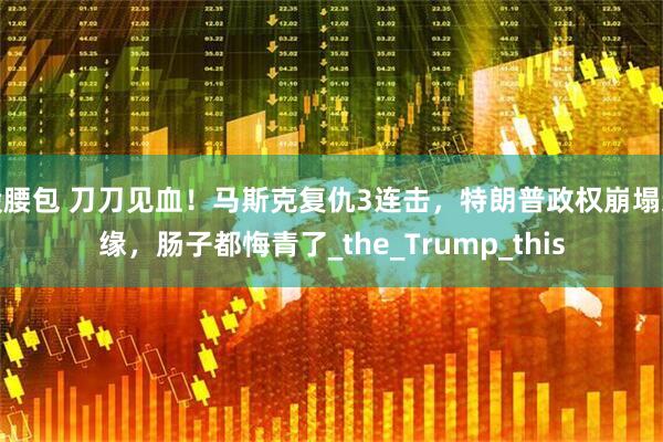 股腰包 刀刀见血！马斯克复仇3连击，特朗普政权崩塌边缘，肠子都悔青了_the_Trump_this