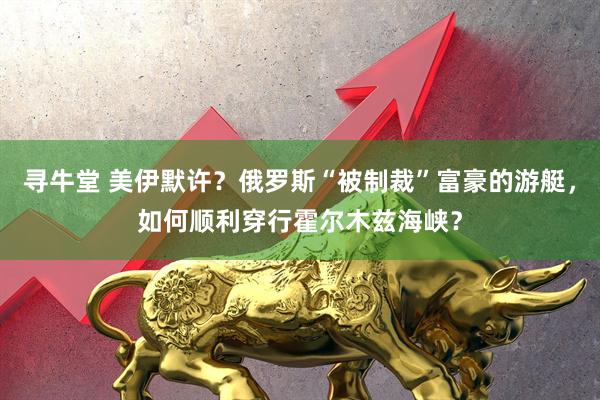 寻牛堂 美伊默许？俄罗斯“被制裁”富豪的游艇，如何顺利穿行霍尔木兹海峡？